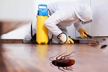 1682233157_pest.jpg